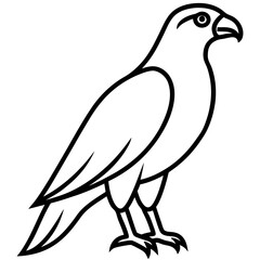 Fototapeta premium Elegant Hawk Silhouette in Line Art