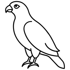 Elegant Hawk Silhouette in Line Art
