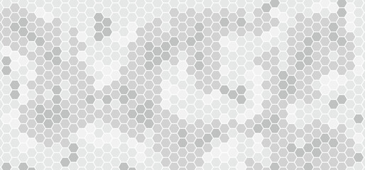 Gray beehive background. hexagonal raster, honeycomb, mosaic cell, bees hive cells pattern. light gray hexagonal mosaic background. honey background