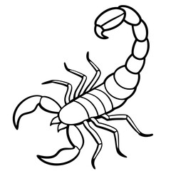 Elegant Scorpion Line Drawing