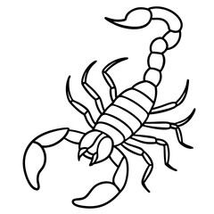 Elegant Scorpion Line Drawing