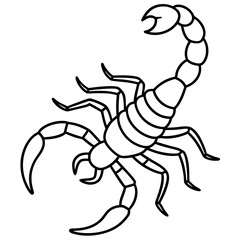 Elegant Scorpion Line Drawing