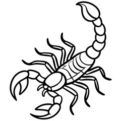 Elegant Scorpion Line Drawing