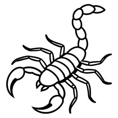 Elegant Scorpion Line Drawing