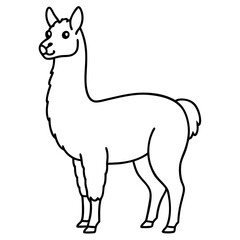 Elegant Llama Line Art Illustration