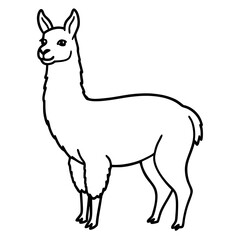Elegant Llama Line Art Illustration