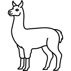 Elegant Llama Line Art Illustration