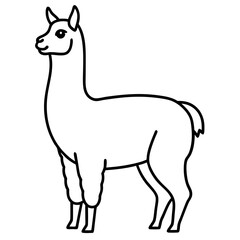 Elegant Llama Line Art Illustration
