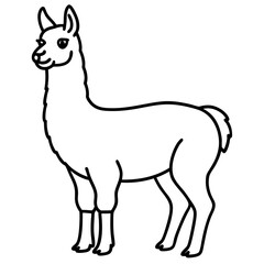 Elegant Llama Line Art Illustration