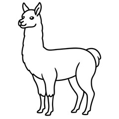 Elegant Llama Line Art Illustration