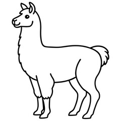 Elegant Llama Line Art Illustration