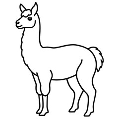 Elegant Llama Line Art Illustration