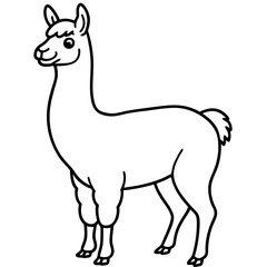 Elegant Llama Line Art Illustration