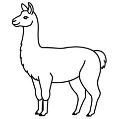 Elegant Llama Line Art Illustration