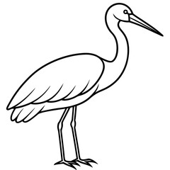 Elegant Stork Outline Vector