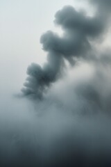 Obraz premium The photograph captures a dreamy, ethereal atmosphere with a blurry background, grey fog, and grey smoke, creating a subtle bokeh effect and blending together for a moody and contemplative effect.