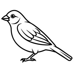 Elegant Sparrow in Single Line Art