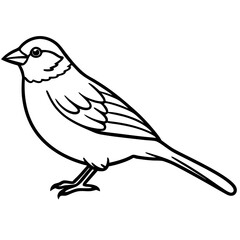 Elegant Sparrow in Single Line Art