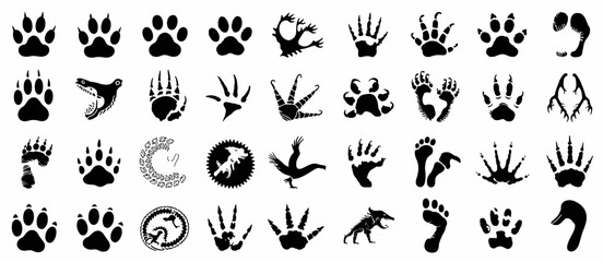 Vector illustration of wildlife footprints featuring diverse animal paw prints from multiple habitats including wetlands, forests, deserts, and mountain landscapes

