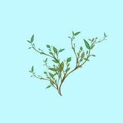 tree branch with leaves on blue background