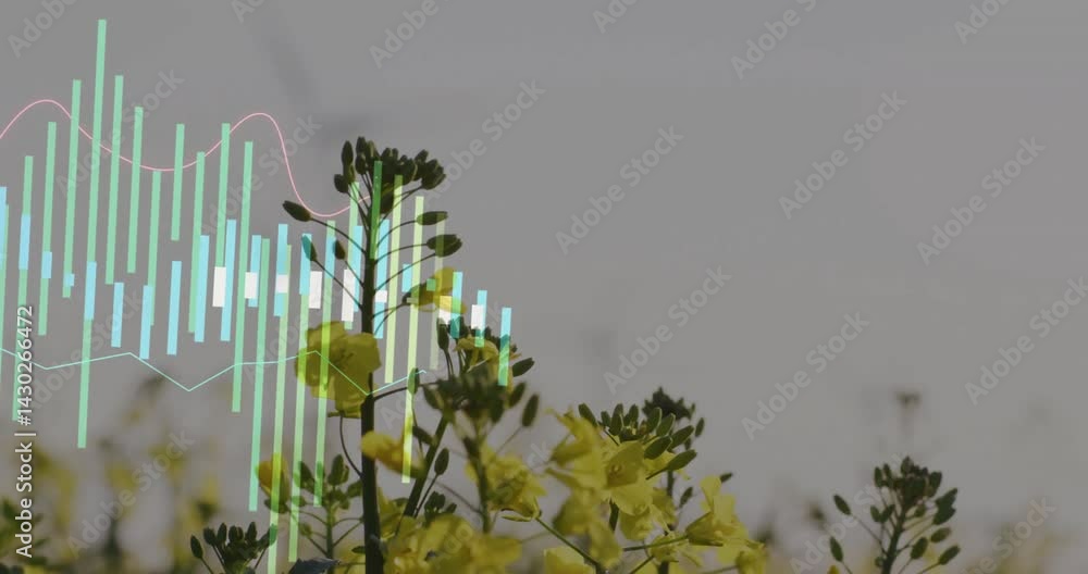 Poster yellow flowering stems being visualized in data overlay, layering pastel bar charts and line graphs