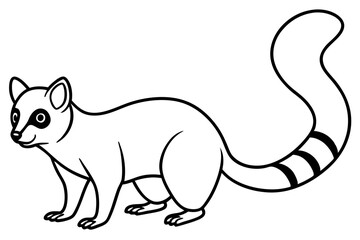Ringtail Elegance