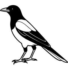 Magpie Outline Simple Vector Art