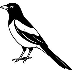 Magpie Outline Simple Vector Art