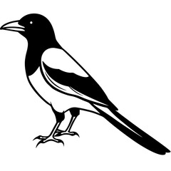 Magpie Outline Simple Vector Art