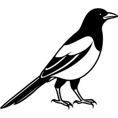 Magpie Outline Simple Vector Art