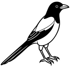 Magpie Outline Simple Vector Art