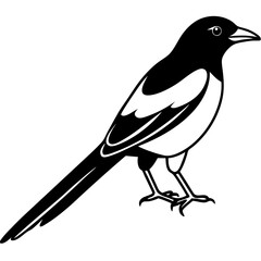 Magpie Outline Simple Vector Art