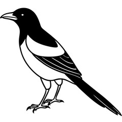 Magpie Outline Simple Vector Art