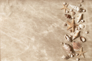 Top view of a sandy beach with collection of seashells and starfish as natural textured background for aesthetic summer travel and vacation design