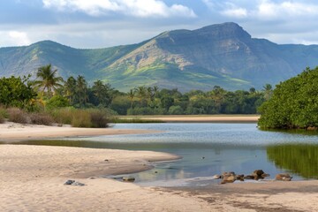 natural landscape photo with a sandy beach in the foreground
