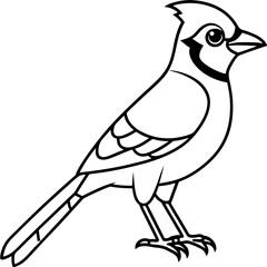 Minimalist Vector Jay in One Line