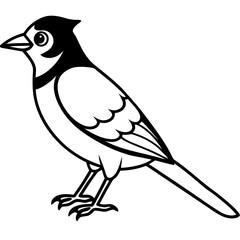 Minimalist Vector Jay in One Line