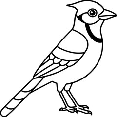 Minimalist Vector Jay in One Line