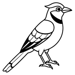 Minimalist Vector Jay in One Line