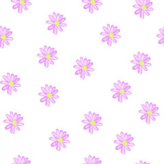 Seamless pattern pink daisy flowers on transparent background