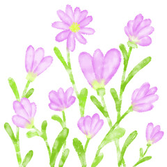 set of pink flowers on transparent background