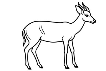 Saiga Antelope Line Drawing