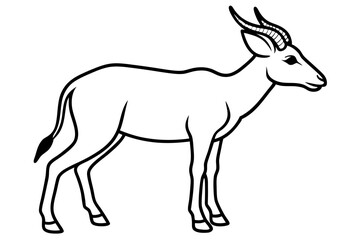 Saiga Antelope Line Drawing