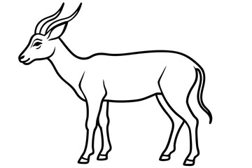 Fototapeta premium Saiga Antelope Line Drawing