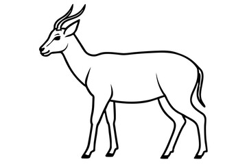 Saiga Antelope Line Drawing