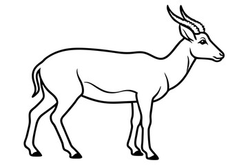 Saiga Antelope Line Drawing