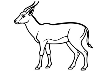 Saiga Antelope Line Drawing