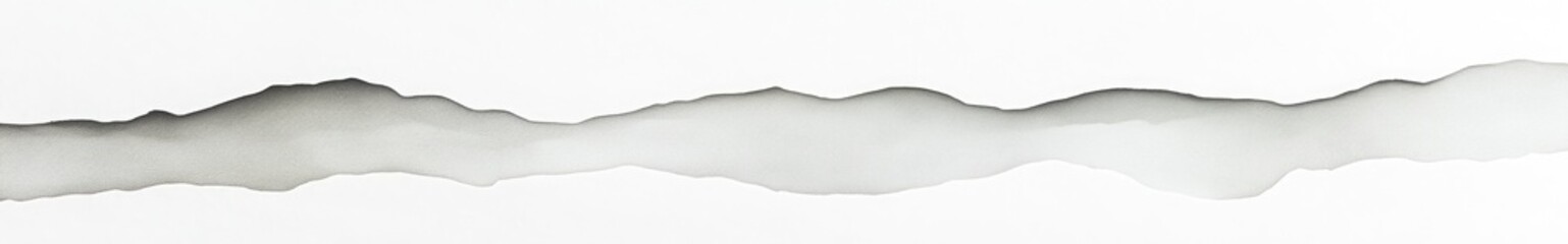 Ripped Paper on White Background