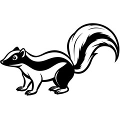Simple Skunk Vector Art