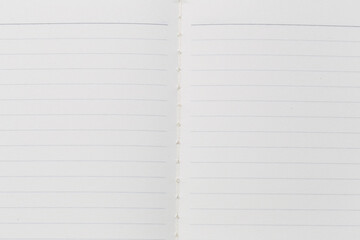 Blank Notebook Pages with Light Blue Lines